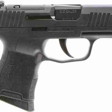 SIG P365 NIT PST 9MM 10R XRAY