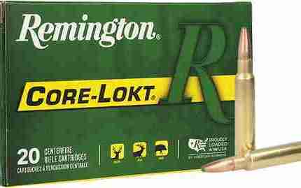 REMINGTON 338 RUM 250GR - CORE-LOKT PSP 20RD 10BX/CS