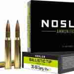 NOSLER BT 30-06 125GR - BALLISTIC TIP 20RD 10BX/CS