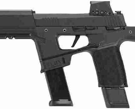 SIG P365 FLUX 9MM 6" ROMEOX - (2)17&(1)25RD DEPLOY BRACE BLK