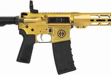 HIPOINT PISTOL HP-15 300 AAC - 10.5" 30RD BLADE BRACE GOLD