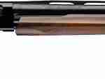 WINCHESTER SXP HG UPLAND FIELD - 20GA 3" 26"VR BLUED WALNUT